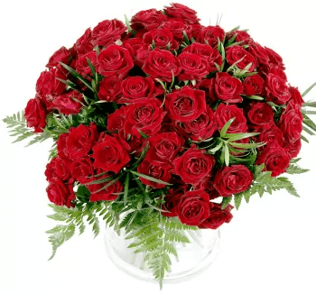 Bouquet baccara roses rouge