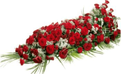 Dessus cercueil roses rouges fleurs