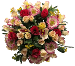 Grand coupe artificielle rosee