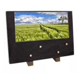 Plaque grand modele champ ble