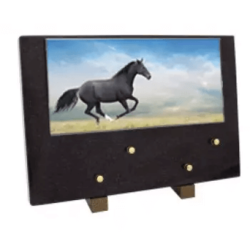 Plaque grand modele cheval
