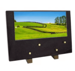 Plaque grand modele chevaux paturage