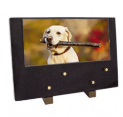 Plaque grand modele chien bois
