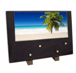 Plaque grand modele cocotier plage