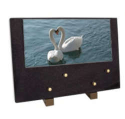 Plaque grand modele couple cygnes