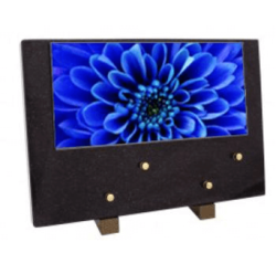 Plaque grand modele dahlia bleu