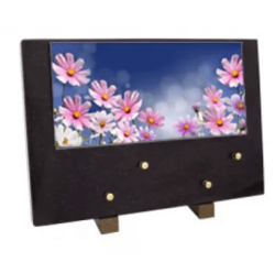 Plaque grand modele fleurs cosmos