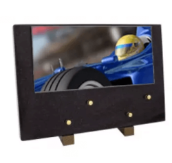 Plaque grand modele formule 1