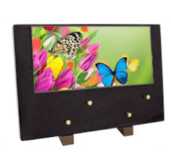Plaque grand modele papillon