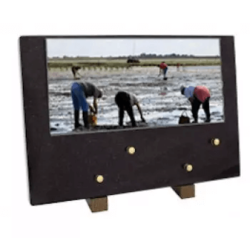 Plaque grand modele peche pied