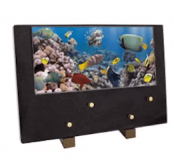 Plaque grand modele poissons exotiques