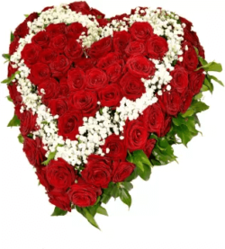 coeur roses fleurs deuil coeur roses rouges gypsophiles