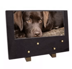 Plaque grand modele chien