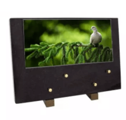 Plaque grand modele colombe sapin
