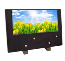 Plaque grand modele jonquilles