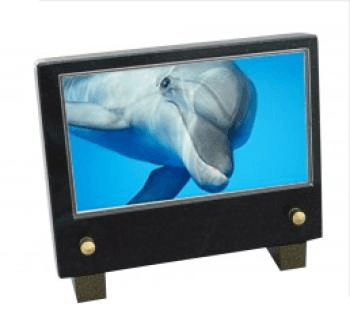 Plaque petit modele dauphin
