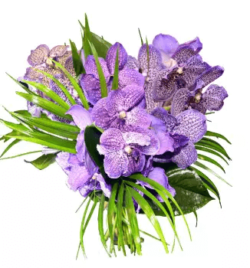 fleurs naturelles bouquet vanda