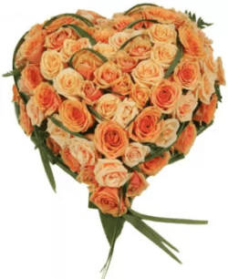 fleurs naturelles coeur roses orange
