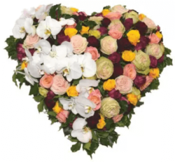 fleurs naturelles coeur roses orchidees