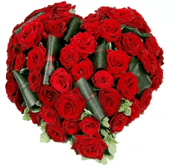 fleurs naturelles coeur roses rouges