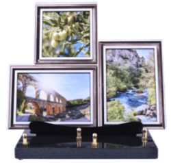 plaque region trois photos gard