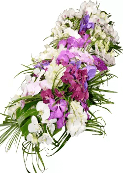 Dessus Cercueil Orchidees