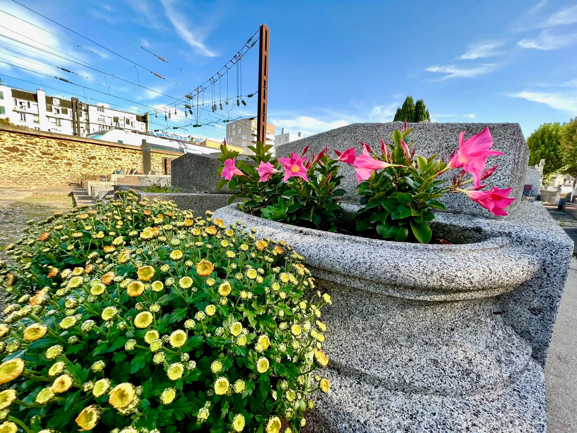 Livraison et plantation des fleurs au cimetière